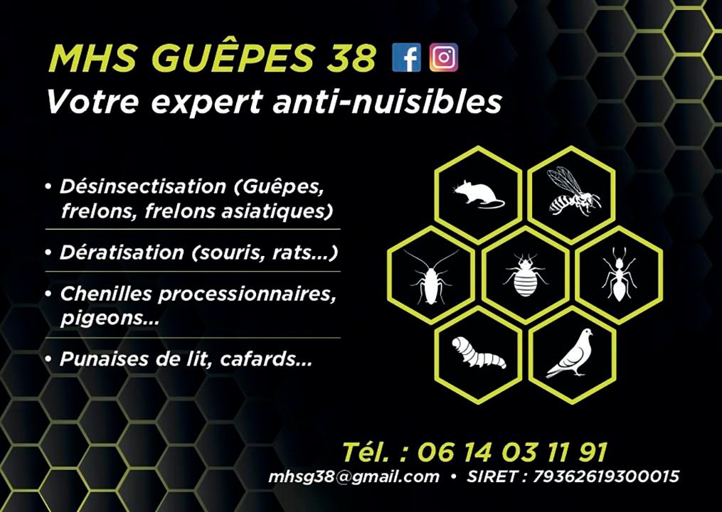 MHS Guêpes 38
